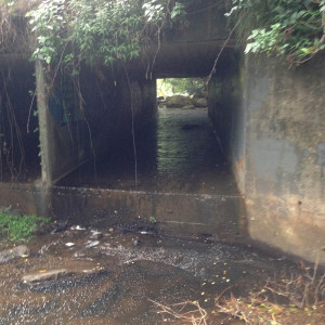 Under view of bridge